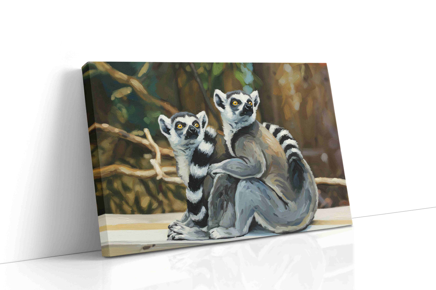 Lemur Gaze (Animals)