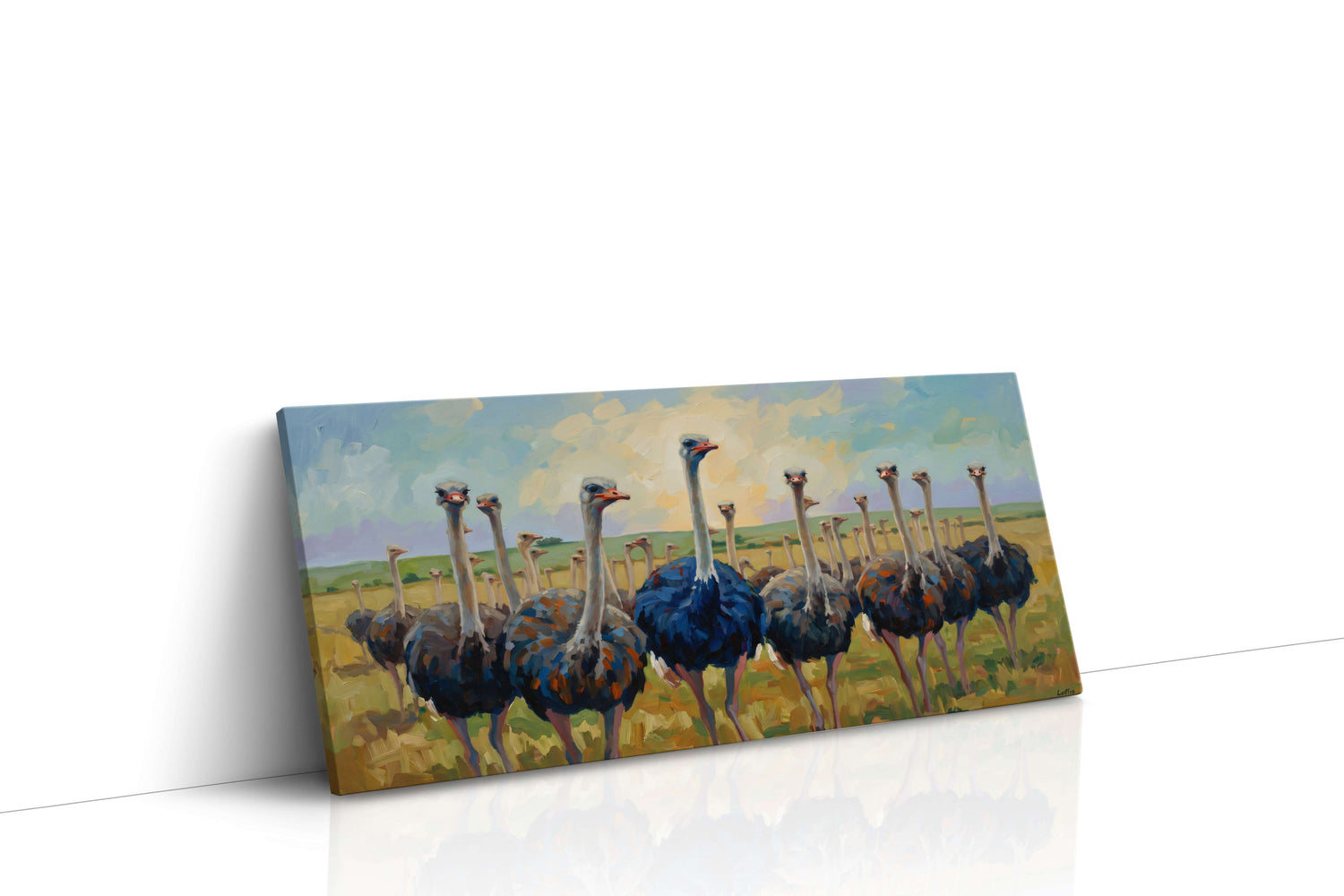 Ostrich Parade (Animals)