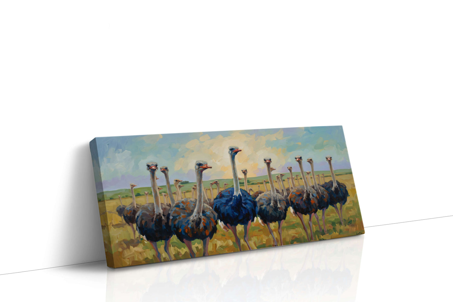 Ostrich Parade (Animals)