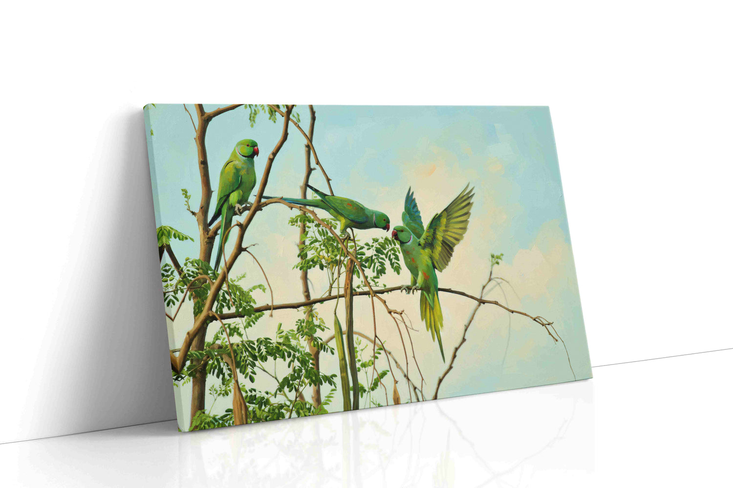 Parrot Harmony (Animals)