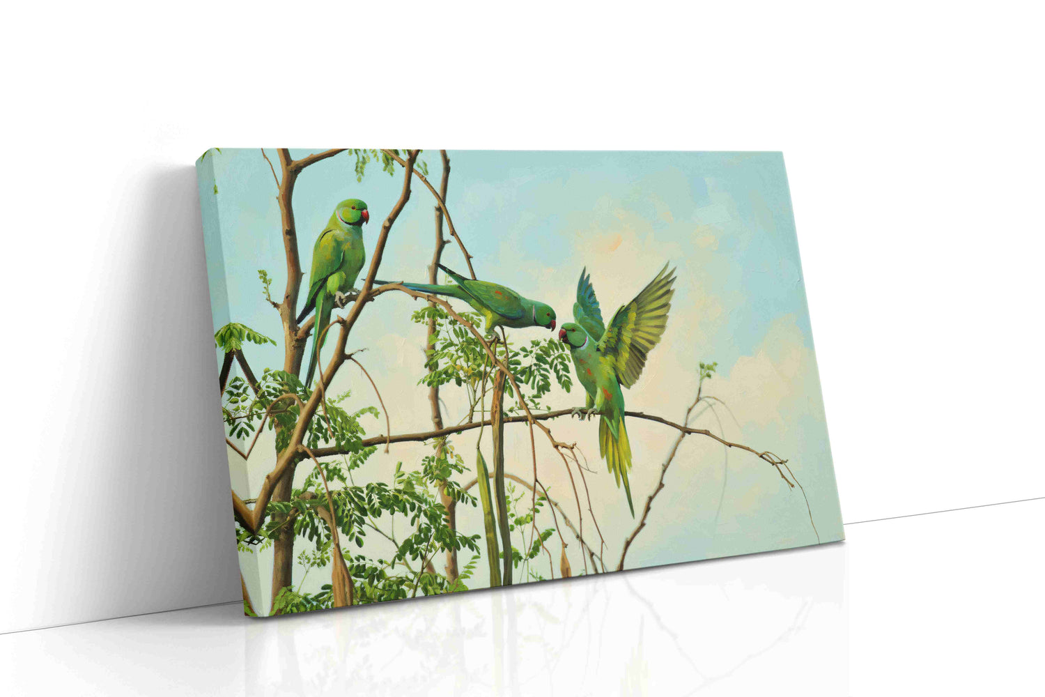 Parrot Harmony (Animals)