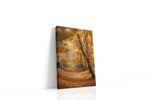Whispers of Autumn Glow autumn canvas print gallery-wrapped portrait canvas studio shot