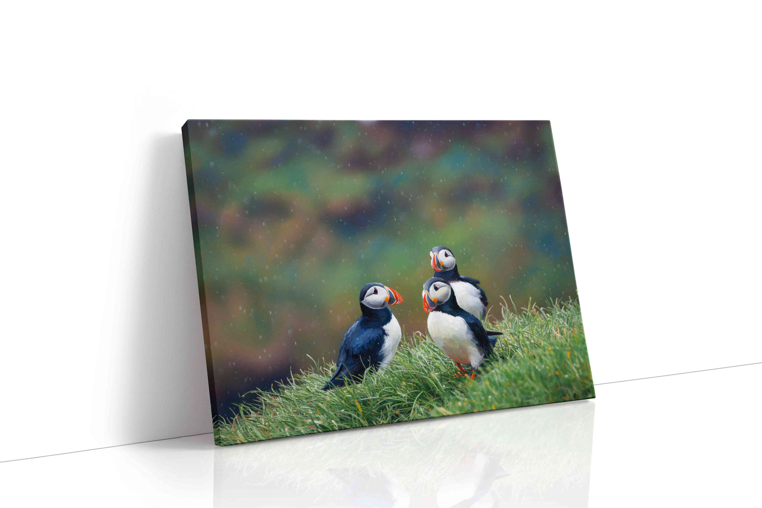 Puffin Whispers (Animals)
