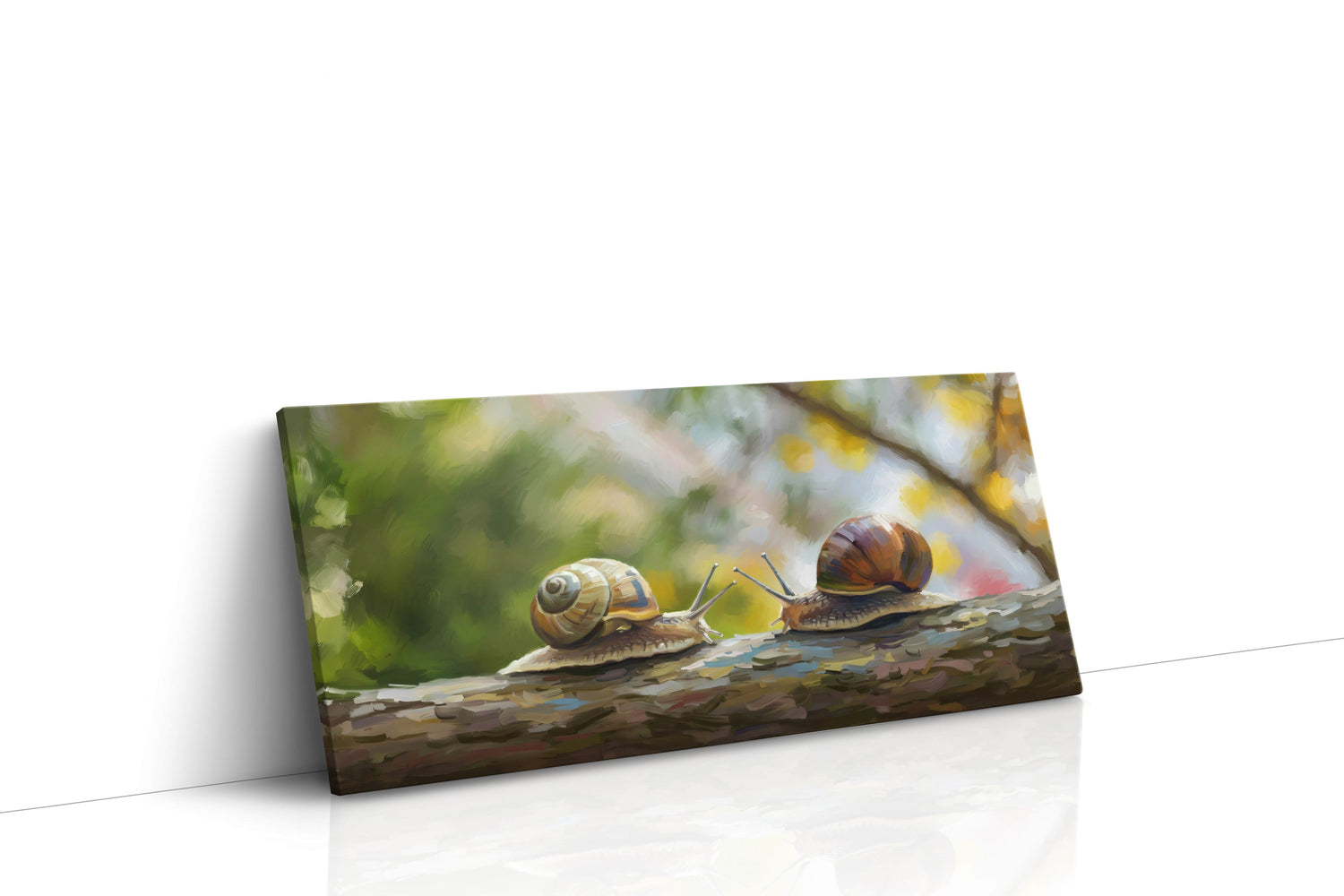 Snail Symphony (Animals)