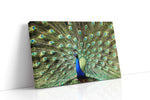 Majestic Plumage Symphony II birds canvas print gallery-wrapped landscape canvas studio shot