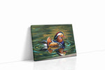 Serenity of the Mandarin Lake birds canvas print, gallery-wrapped, ready to hang