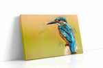 Vibrant Kingfisher Harmony birds canvas print gallery-wrapped landscape canvas studio shot