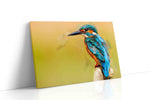 Vibrant Kingfisher Harmony birds canvas print, gallery-wrapped, ready to hang
