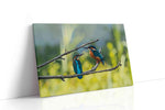 Whispers of the Kingfishers birds canvas print gallery-wrapped landscape canvas studio shot