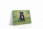 Innocence in the Meadow dogs canvas print gallery-wrapped landscape canvas studio shot