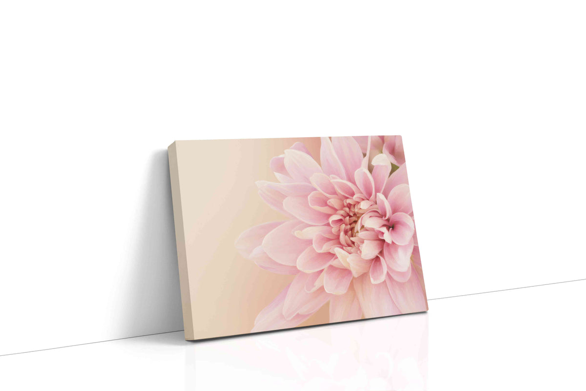 Blossom of Serenity floral canvas print, gallery-wrapped, ready to hang