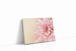 Blossom's Whispers floral canvas print, gallery-wrapped, ready to hang