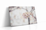 Blossoms of Serenity II floral canvas print gallery-wrapped landscape canvas studio shot