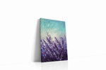 Lavender Dreams at Dawn nature canvas print, gallery-wrapped, ready to hang