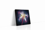 Luminous Lily Radiance floral canvas print, gallery-wrapped, ready to hang