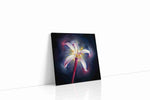 Luminous Lily Radiance floral canvas print gallery-wrapped square canvas studio shot
