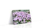 Whisper of Spring Blooms floral canvas print, gallery-wrapped, ready to hang