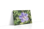 Whisper of the Bloom floral canvas print gallery-wrapped landscape canvas studio shot