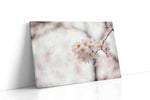 Whispers of Blossom Dreams floral canvas print, gallery-wrapped, ready to hang