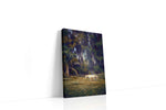Whispers in the Glade landscape canvas print gallery-wrapped portrait canvas studio shot