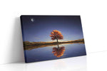 Eternal Autumn Reflections landscape canvas print gallery-wrapped landscape canvas studio shot