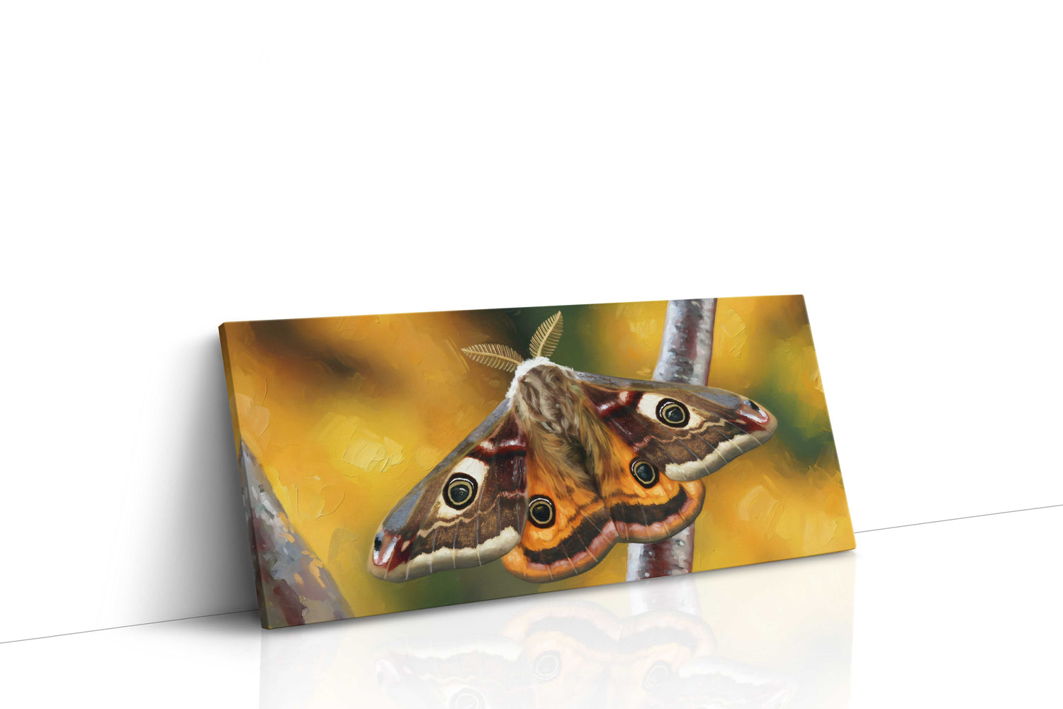 Autumn Wings (Nature)