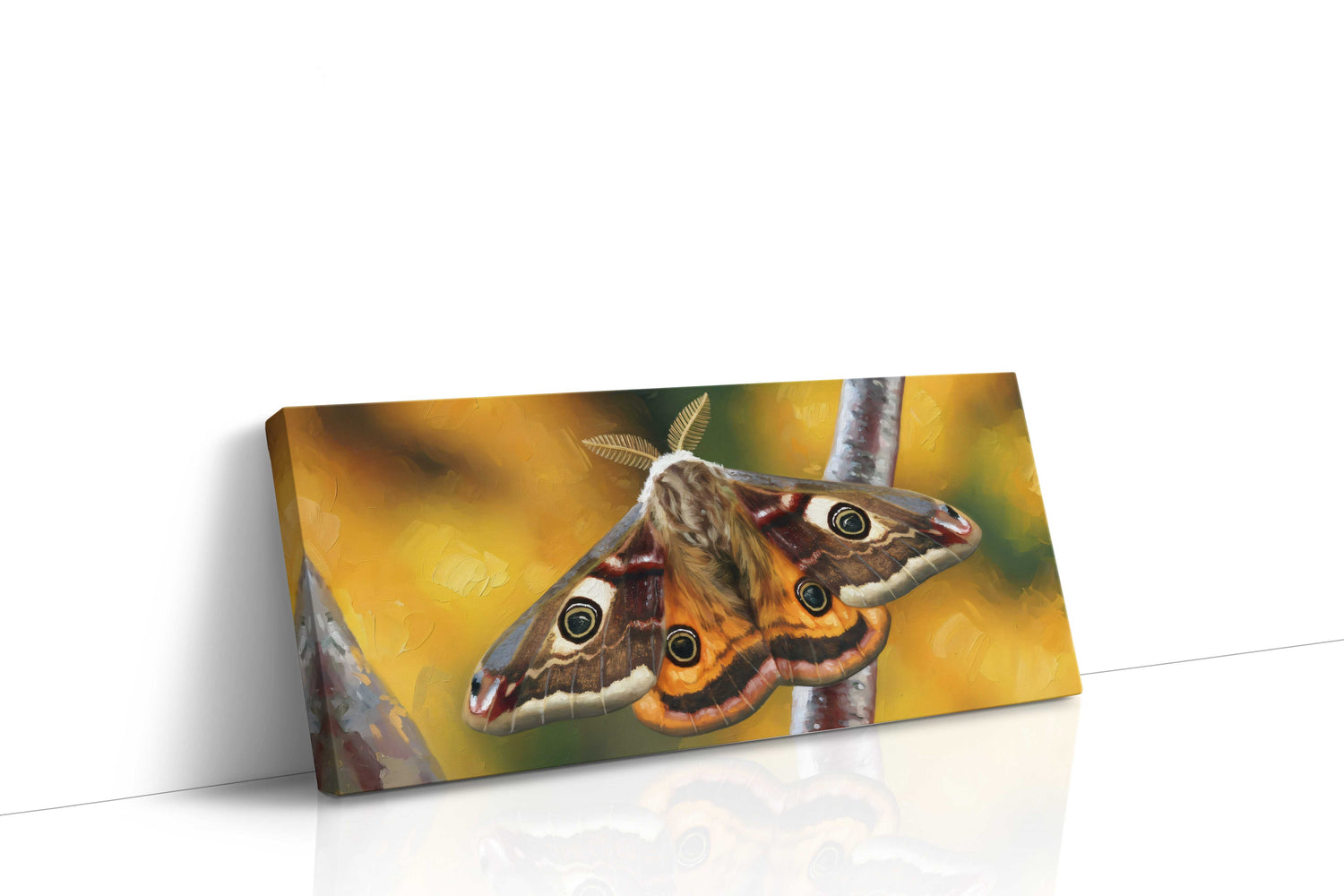 Autumn Wings (Nature)