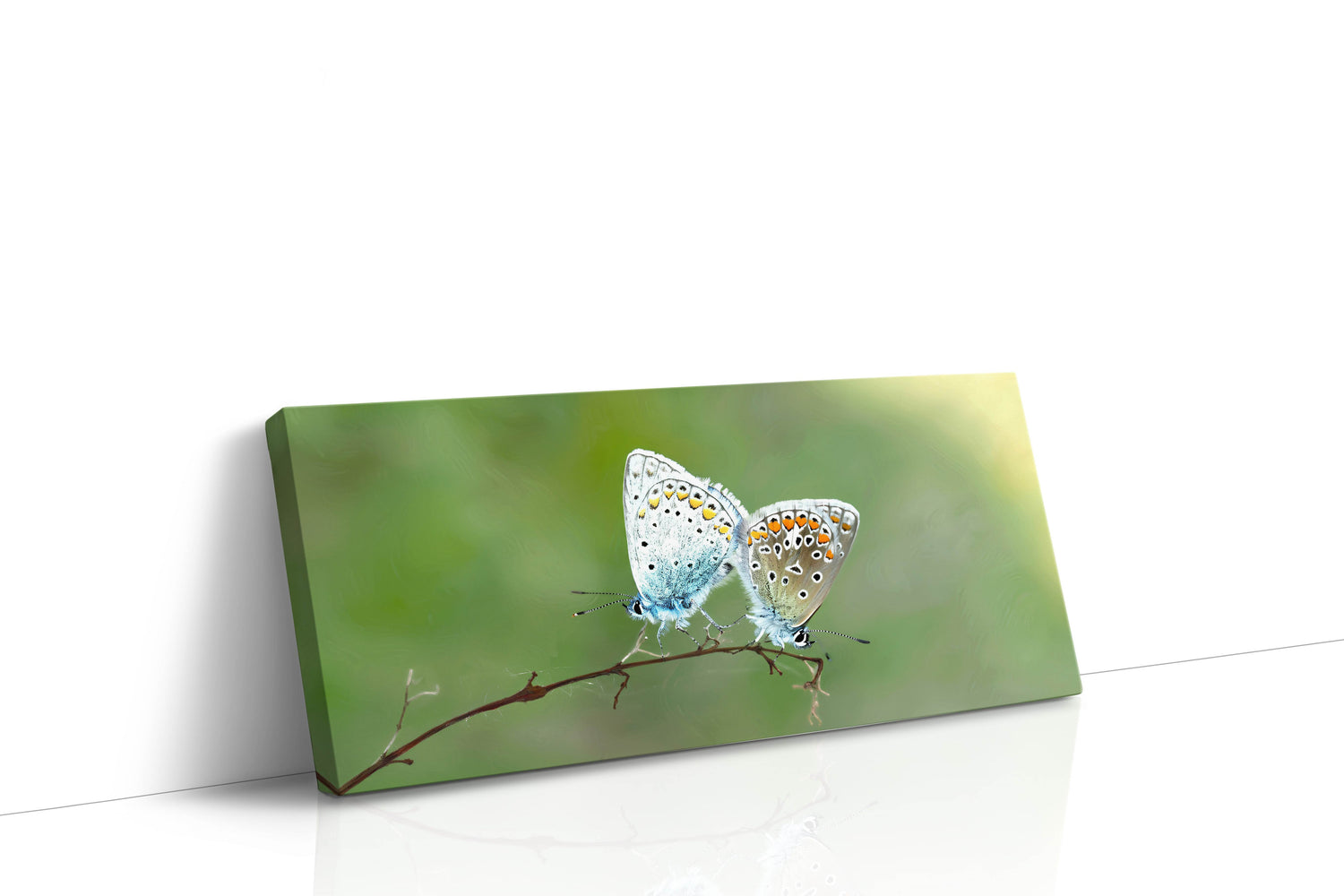 Ethereal Wings (Nature)