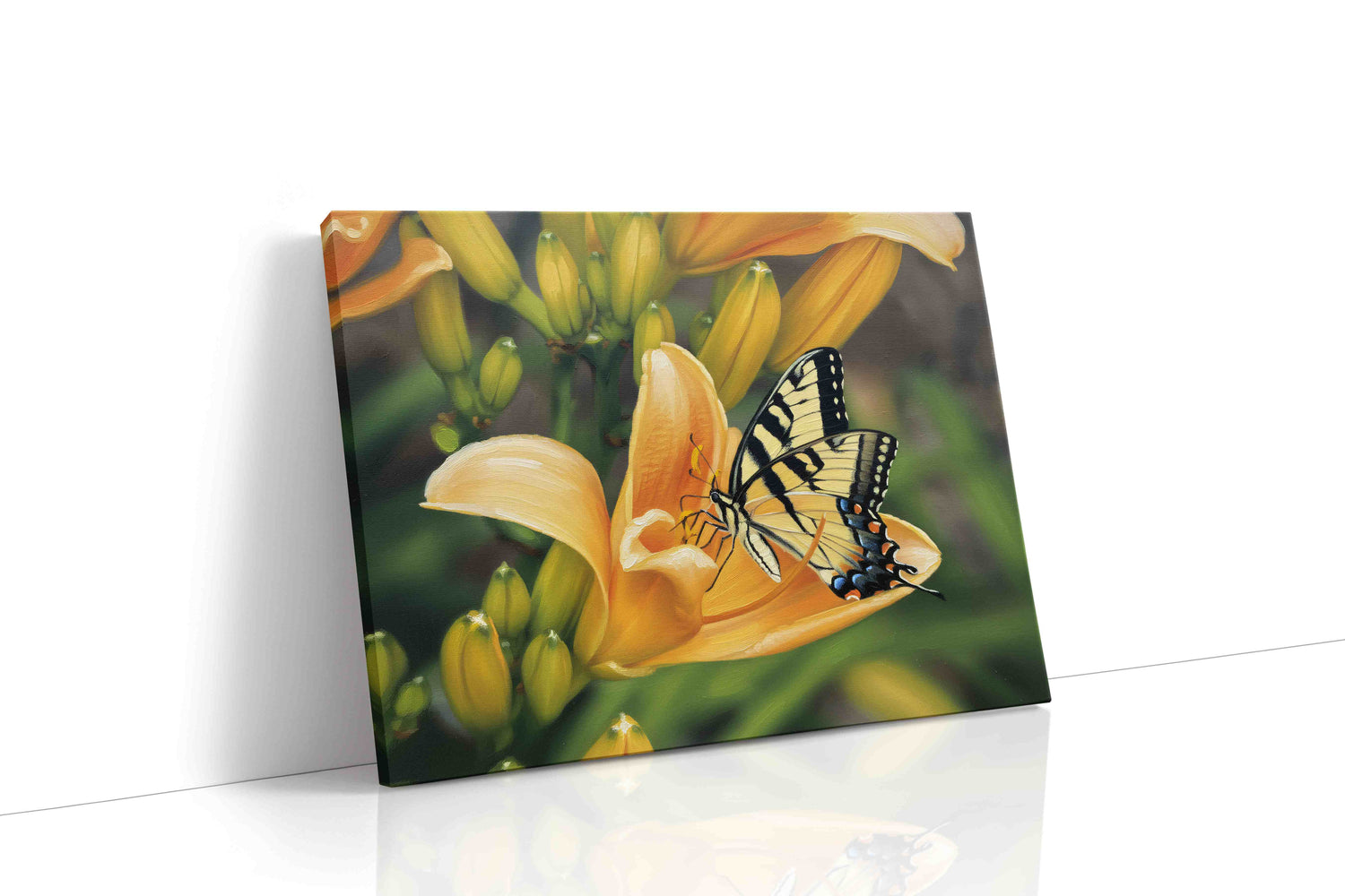 Fluttering Elegance (Nature)