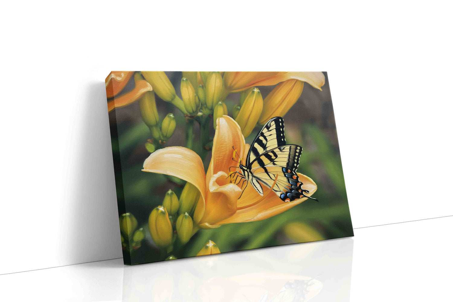 Fluttering Elegance (Nature)