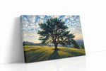 Whispers of Dawn IV nature canvas print gallery-wrapped landscape canvas studio shot