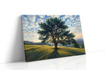 Whispers of Dawn IV nature canvas print, gallery-wrapped, ready to hang