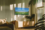 Whispers of a Summer Meadow landscape canvas print in a hung canvas mockup