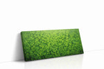 Emerald Canopy leaves canvas print gallery-wrapped landscape canvas studio shot