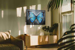 Ethereal Azure Wings animals canvas print, on wall, lifestyle preview