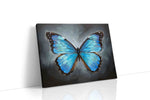 Ethereal Azure Wings animals canvas print gallery-wrapped landscape canvas studio shot