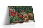 Garden Squirrel Symphony animals canvas print, gallery-wrapped, ready to hang