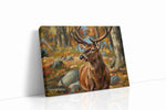 Majestic Autumn Stag animals canvas print gallery-wrapped landscape canvas studio shot