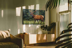 Majestic Forest Wanderer animals canvas print in a hung canvas mockup