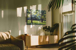 Sunlit Serenity Grove landscape canvas print, on wall, lifestyle preview