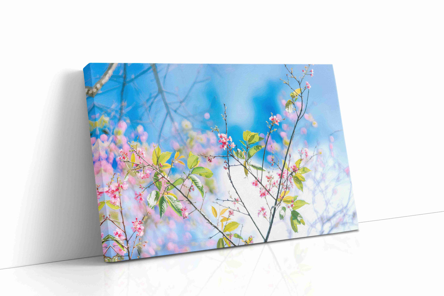 Blossom Dreams (Floral)