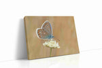 Whisper of the Blue Wings nature canvas print gallery-wrapped landscape canvas studio shot