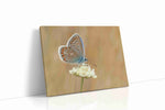 Whisper of the Blue Wings nature canvas print, gallery-wrapped, ready to hang
