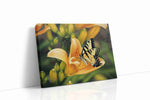 Whisper of the Butterfly Bloom floral canvas print gallery-wrapped landscape canvas studio shot