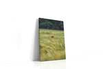 Whisper of the Meadow nature canvas print, gallery-wrapped, ready to hang
