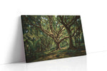 Whispering Canopy II nature canvas print gallery-wrapped landscape canvas studio shot