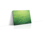 Whispering Meadow Radiance nature canvas print, gallery-wrapped, ready to hang