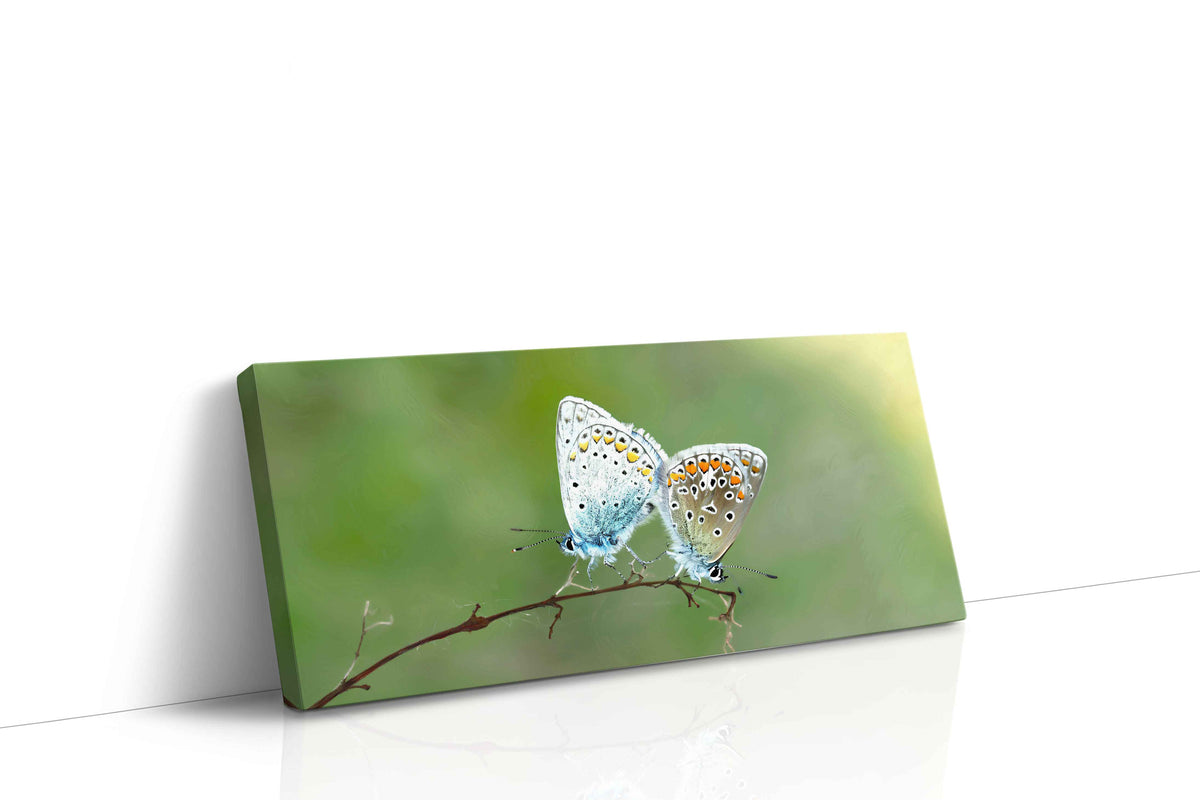 Whispers of Delicate Wings nature canvas print gallery-wrapped landscape canvas studio shot