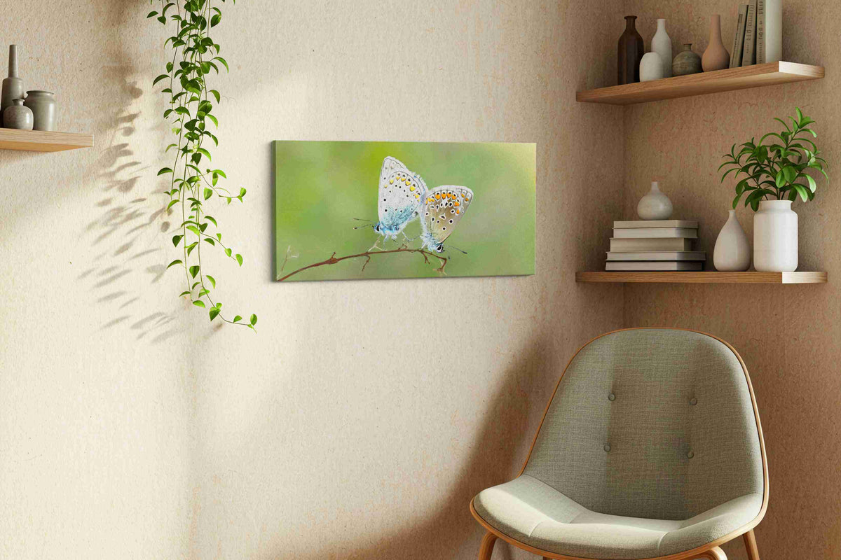 Whispers of Delicate Wings nature canvas print, displayed in a living room