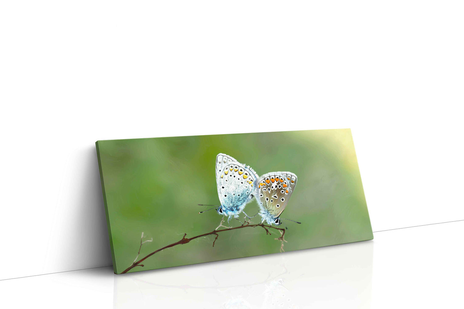 Whispers of Delicate Wings nature canvas print, gallery-wrapped, ready to hang